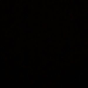 Meet your Posher, Jayden